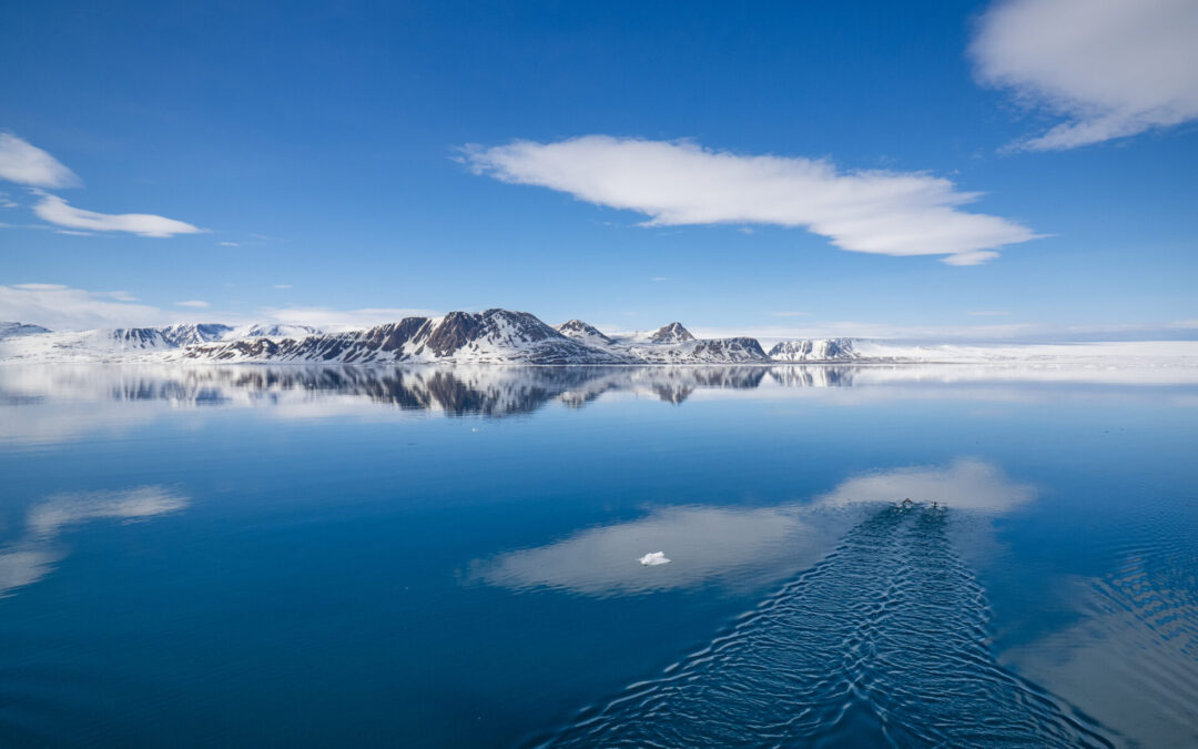 Seeadlermagazin 2026: Bericht einer Arktisreise