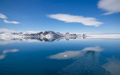 Seeadlermagazin 2026: Bericht einer Arktisreise