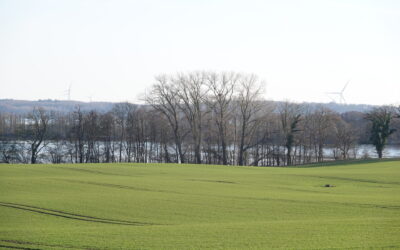 Spionage oder Greifvogelverfolgung?