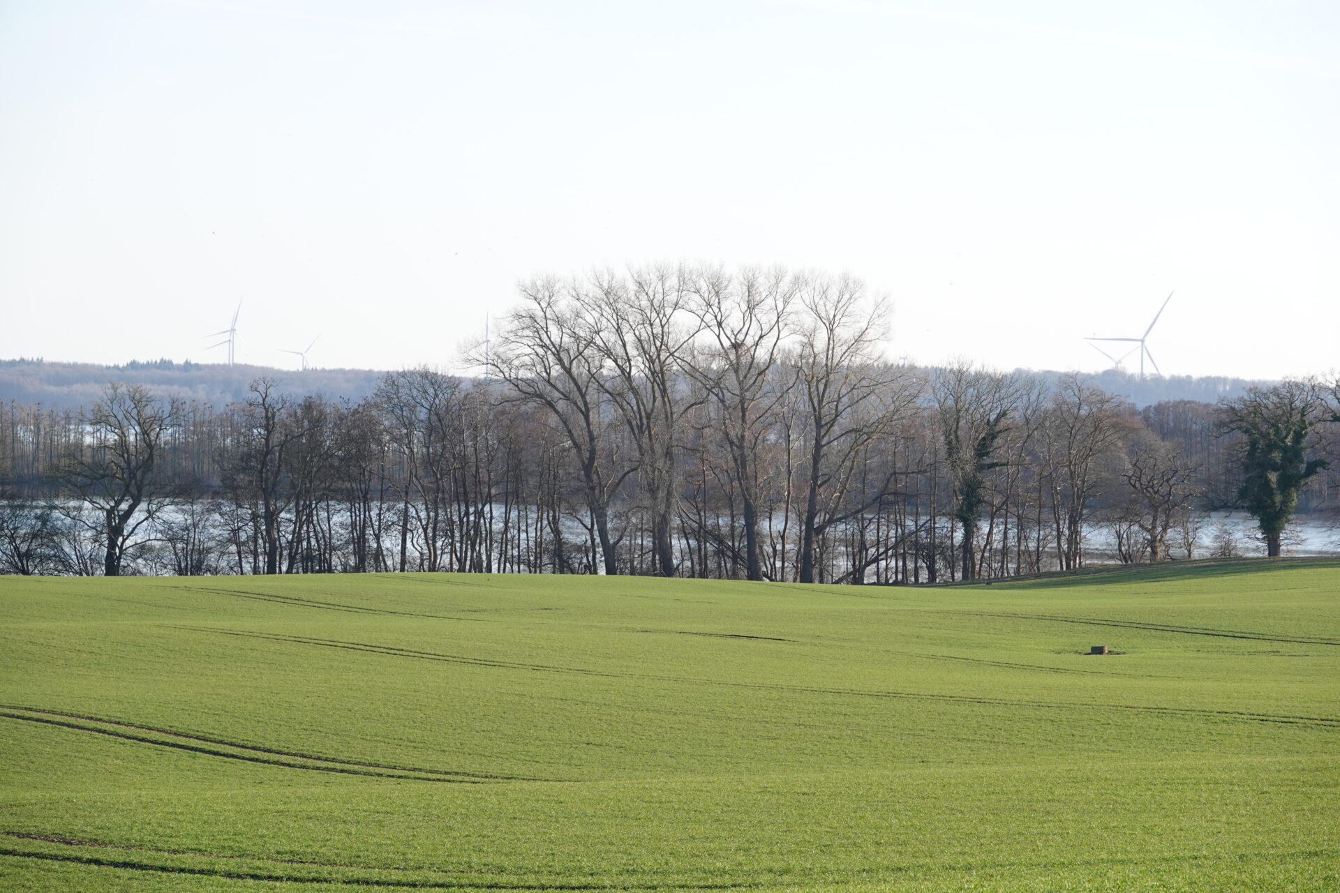 Spionage oder Greifvogelverfolgung?