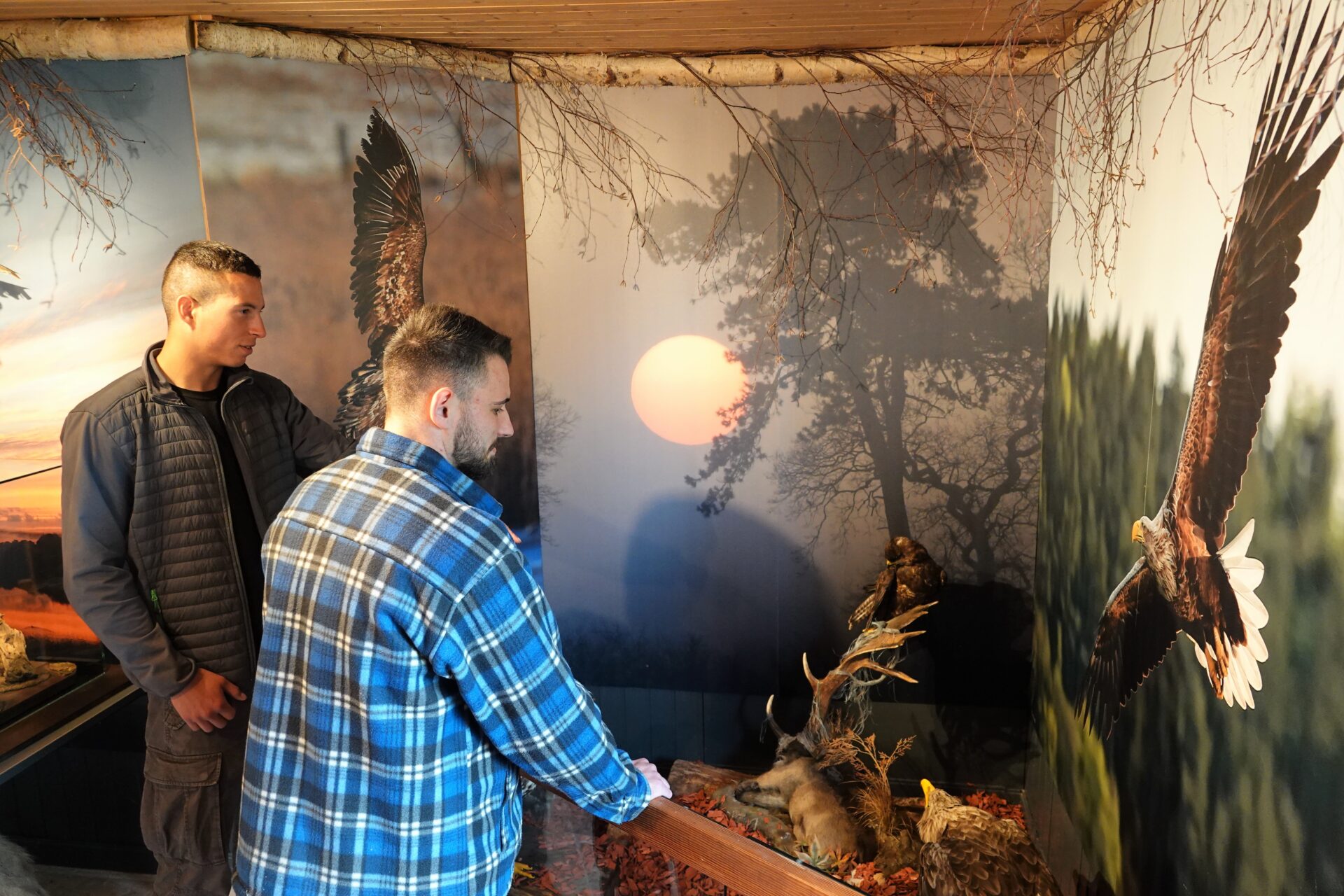 Seeadlerausstellung