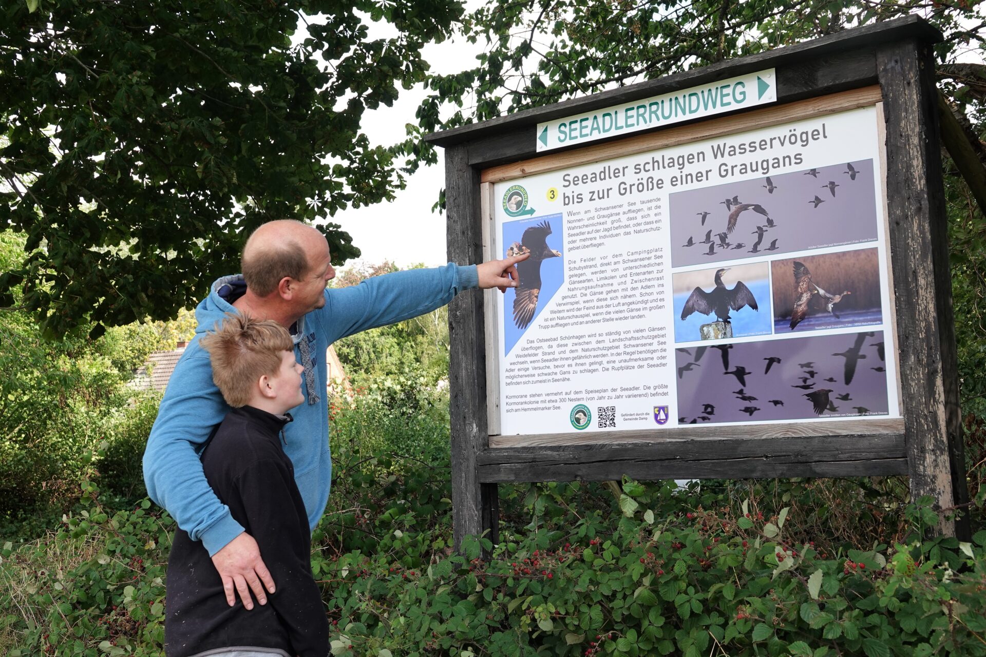 Seeadlerrundweg Foto Frank Dreves